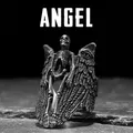 Angel Wing Skull Men Rings gioielli da donna in acciaio inossidabile Punk Gothic Rock Vintage Black