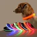 Nylon LED Night Safety lampeggiante Glow In The Dark guinzaglio per cani cani collare fluorescente