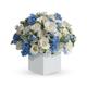 Luxury Fresh White Roses with mixed blue flowers for Mum & Newborn Baby Boy - UK Mainland Only