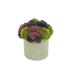 Primrue Assorted Sedum Pot Polysilk in Gray | 9 H x 7.5 W x 7.5 D in | Wayfair 20484C4CC85742209FAF3EC8113C0C4F