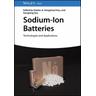 Sodium-Ion Batteries - Xiaobo Herausgegeben:Ji, Hongshuai Hou, Guoqiang Zou