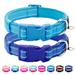 azuza 2 Pack Neoprene Padded Dog Collar for Small Dogs Reflective Dog Collar with ID Tag Ring Adjustable Safe and Comfy Dog Collars Royal Blue/Sky Blue XS