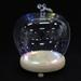 Flower Vase Glass Decor for Table Apple Cover Display Dinning Clear Cloche Dome with Wood Base