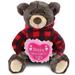 DolliBu Happy Mother’s Day Soft Plush Brown Bear With Red Plaid Hoodie - 10 inches