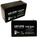 2x Pack - Compatible Dts 12V 6.7 Battery - Replacement UB1290 Universal Sealed Lead Acid Battery (12V 9Ah 9000mAh F1 Terminal AGM SLA) - Includes 4 F1 to F2 Terminal Adapters