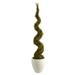 Nearly Natural 54in. Mohlenbechia Spiral Artificial Tree in White Planter