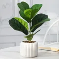 Faux Ficus Artificiel Feuilles de Fiddle Plantes Banyan Tropicales Branche en Plastique