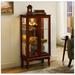 Alcott Hill® Cenia Lighted Curio Cabinet w/ Adjustable Shelves & Mirrored Back Panel, not included bulb Wood in Brown | Wayfair