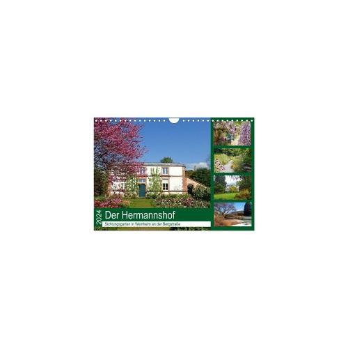 Der Hermannshof Sichtungsgarten in Weinheim an der Bergstraße (Wandkalender 2024 DIN A4 quer), CALVENDO Monatskalender – Calvendo