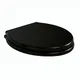 Ideal Standard Waverley Black Standard Close Toilet Seat