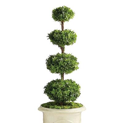 Outdoor Four Tier Boxwood Disc Topiary - Frontgate