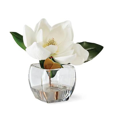 White Magnolia in Square Vase - Frontgate