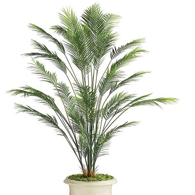 Outdoor Areca Palm Tree - Frontgate