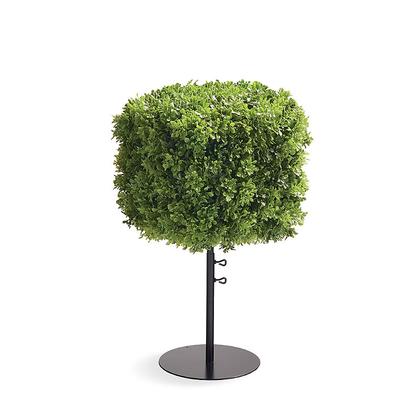 Outdoor Boxwood Cube Topiaries - 15