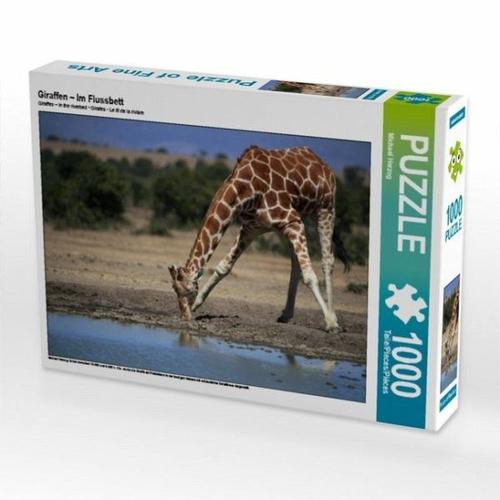 CALVENDO Puzzle Giraffen - Im Flussbett 1000 Teile Lege-Größe 64 x 48 cm Foto-Puzzle Bild von Michael Herzog - Calvendo / Calvendo Puzzle