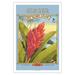 Ginger - Aloha Seeds - Big Island Seed Company - Big Island Color - Vintage Seed Packet by Kerne Erickson - Fine Art Matte Paper Print (Unframed) 30x44in