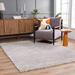 Hauteloom Faina Machine Washable Solid Shag Rug - Plain Living Room Bedroom Shaggy Area Rug - Fluffy Plush High Pile Carpet - Grey Light Gray - 5 3 x 7