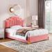 Pink Velvet LED Upholstered Platform Bed with 4 Drawers and 16 Colors and 4 Patterns RGB Lights