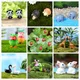 Tiere Kaninchen Ente Miniaturen Figuren Mini Handwerk Figurine Blumentopf Garten Ornament Miniatur