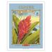 Ginger - Aloha Seeds - Big Island Seed Company - Big Island Color - Vintage Seed Packet by Kerne Erickson - Fine Art Matte Paper Print (Unframed) 20x26in