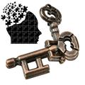Puzzle Game Puzzle Brain Teaser Puzzles Brain Teasers Puzzle Toys IQ Teaser Unlock Toy Adult Intelligent Puzzle Lock Buckle Educational Toy Keys Lock