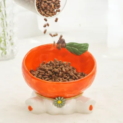 Katze Obst Keramik Schüssel Erhöhte Tiernahrung Wassernäpfe Erhöhte Kleine Hunde Gekippt Trinken Image
