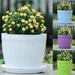 Fairnull Ceramic-like Flower Succulent Plant Pot Planting Holder Flowerpot with Tray