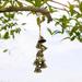 Garden Tools Ozmmyan Witch Bells Protection For Door Knob Hanger Wind Chimes Witchy Things Clear Negative Energy Witchcraft Supplies For Boho Home Room Decor Clearance