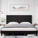 Bed Frame with Diamond Button Tufted & Nailhead Trim Headboard