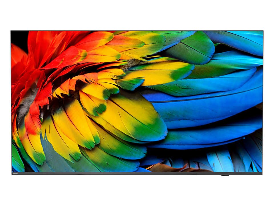 Philips Professional Displays 50HFL6214U/12 PHILIPS Hotel TV 50HFL6214U/12 126,0cm(50") MediaSuite Image