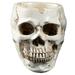 FRCOLOR Resin Human Skull Ashtray Home Ornaments Scary Halloween Decorations Bar Decors Smoking Room Accessories