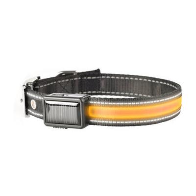 Brite-Strike Solar/USB Lighted Dog Collar (Large) LPCSU-ORANGE-L