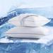 Alwyn Home Timothe Down Alternative Plush Cooling Pillow Down Alternative | 20 H x 28 W x 6 D in | Wayfair 319CD70010CE4E4A9942B93AD188FC15