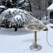 Bird Bath Heater for Outdoors In Winter - 10 W Birdbath Deicer with Thermostatic Control and 4.3 Ft Long Power Cord Energy Saving for Garden Yard Patio