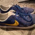 Nike Shoes | Nike Sb Casual Shoes Pitt Panthers 11.5 | Color: Blue/Gold | Size: 11.5