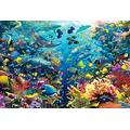 Agashi Jigsaw Puzzle, 1000/1500/2000/3000/4000/5000/6000 Piece Puzzle Underwater Paradise a Combination of Challenging Jigsaw Puzzles and Family Games/Underwater Paradise/6000Pcs
