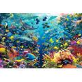 Agashi Jigsaw Puzzle, 1000/1500/2000/3000/4000/5000/6000 Piece Puzzle Underwater Paradise a Combination of Challenging Jigsaw Puzzles and Family Games/Underwater Paradise/2000Pcs