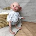 Enjoy with Love New 17inch Fariy Elf Handmade Reborn Baby Doll Sweet Baby Collectible Art Doll Handmade Doll (blue eyes)
