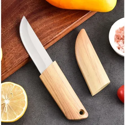 Petit couteau à fruits en acier inoxydable avec manche en bois couteau utilitaire de cuisine