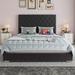 Lark Manor™ Amberlynn Bed Upholstered/Velvet/Metal in Black | 52.9 H x 64.1 W x 86.6 D in | Wayfair C29708436AFC4AA4A4FC219A217BBC7F