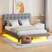 Queen Size Velvet Platform Bed with LED Frame, Thick & Soft Fabric