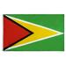 Guyana Flag Polyester Flag Ornament Home National Flag Decoration Home Flag Decoration