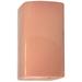 Ambiance 9 1/2" High Blush Rectangle LED Outdoor Wall Sconce