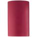 Ambiance 12 1/2"H Cerise Closed LED ADA Outdoor Wall Sconce