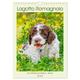 Lagotto Romagnolo - Der Trüffelhund Italiens - Planer (Wandkalender 2024 DIN A4 hoch), CALVENDO Monatskalender - Calvendo