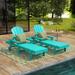 Polytrends Laguna All Weather Poly Pool Outdoor Chaise Lounge - with Arms and Wheels (Set of 2)