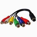 Trjgtas 10 Pin S-Video to Female RGB 6 RCA 10 Pin Din S-Video Male Component Cable 30cm for PC HDTV RGB Component Cable 30cm