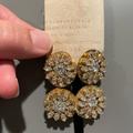 Anthropologie Jewelry | Anthropologie Crystal Flower Earrings | Color: Gold | Size: Os