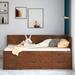 Red Barrel Studio® Tein Wooden Daybed w/ Four Drawers & Three Sheves Wood in Brown | 34.3 H x 42.4 W x 77.8 D in | Wayfair