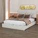 Latitude Run® Queen Size Platform Bed w/ Hydraulic Storage System Upholstered/Velvet, in Brown | 40.7 H x 64.6 W x 85.2 D in | Wayfair